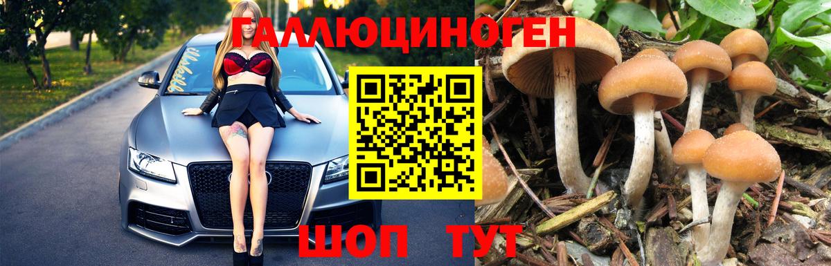 Чебаркуль  Псилоцибиновые грибы Cubensis  закладка  Вход с VPN 